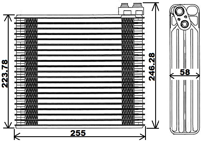 SUC3298